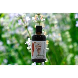 Шведска горчивка 2